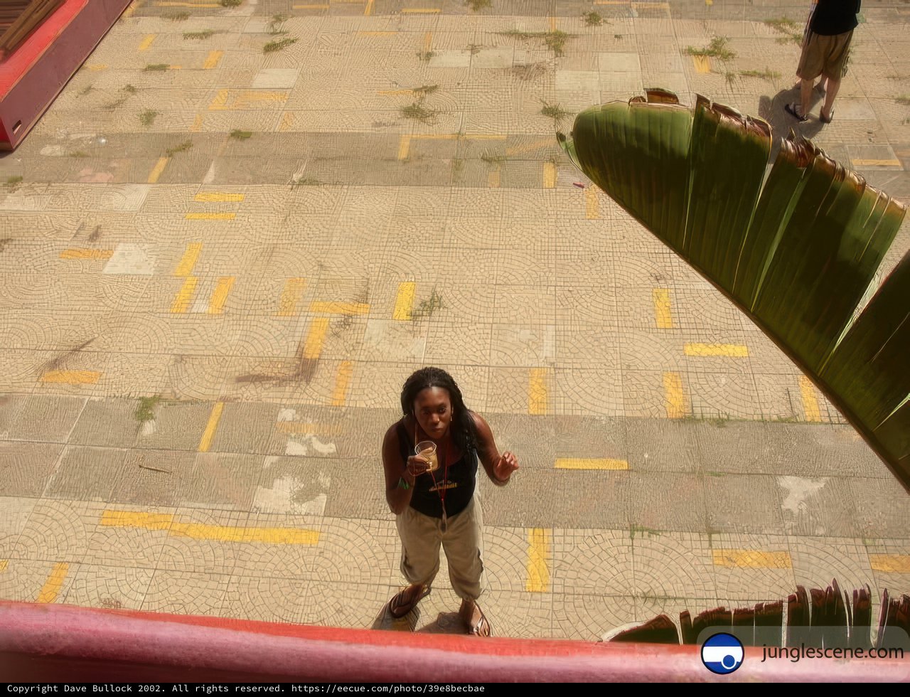 The Urban Explorer