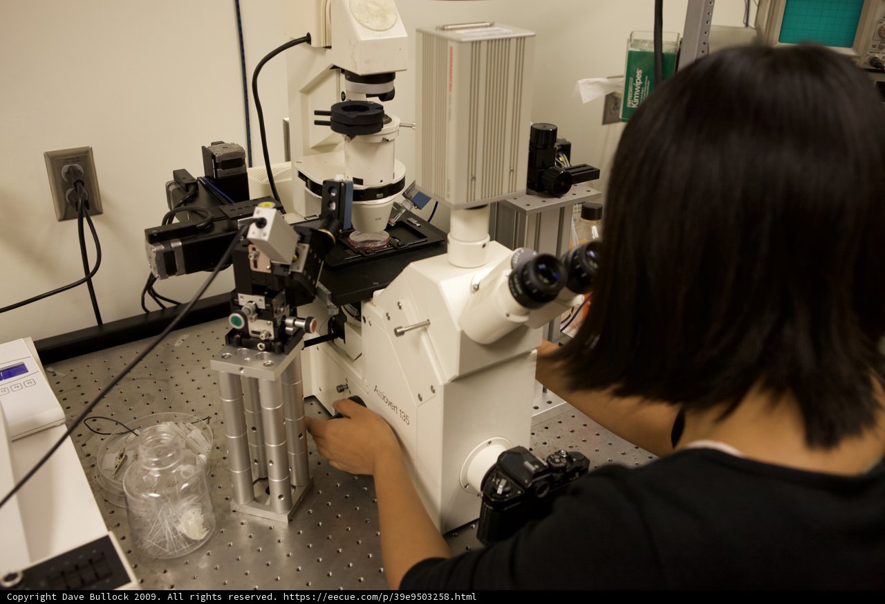 A Female Scientist's Studies Under the Microscope