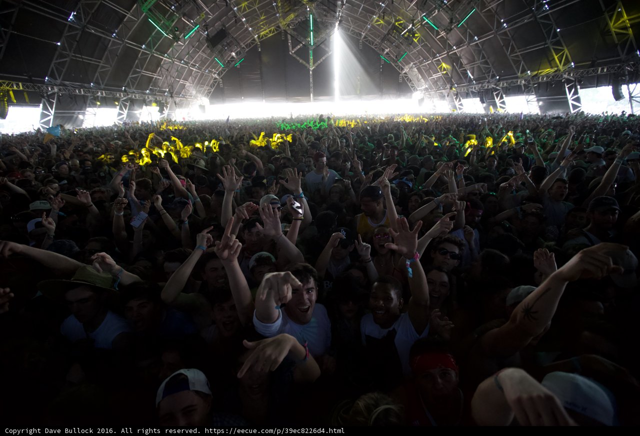 Electrifying Concert Crowd
