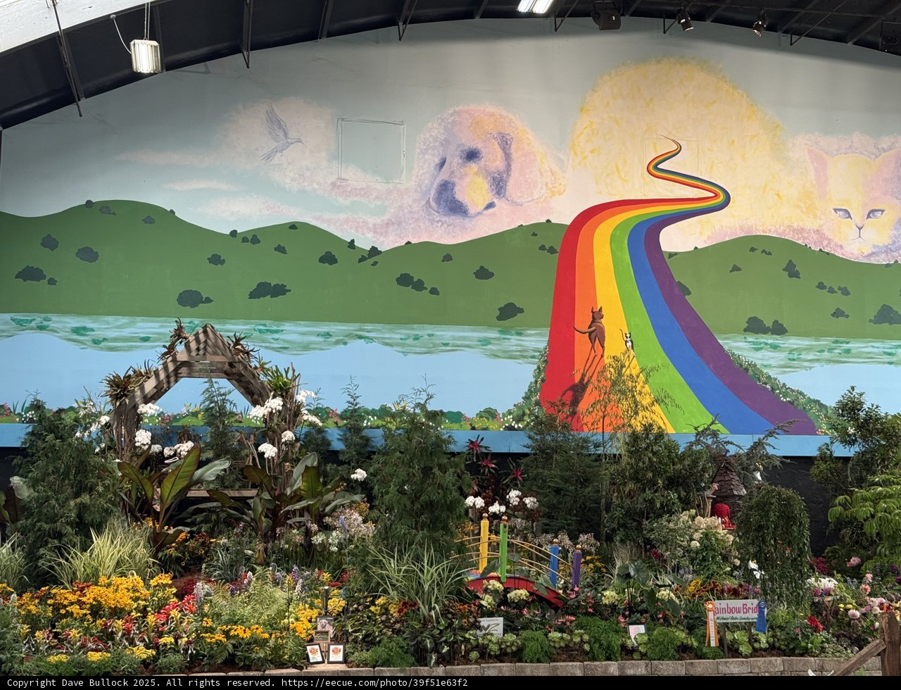 A Rainbow's Pathway to Nature's Heart