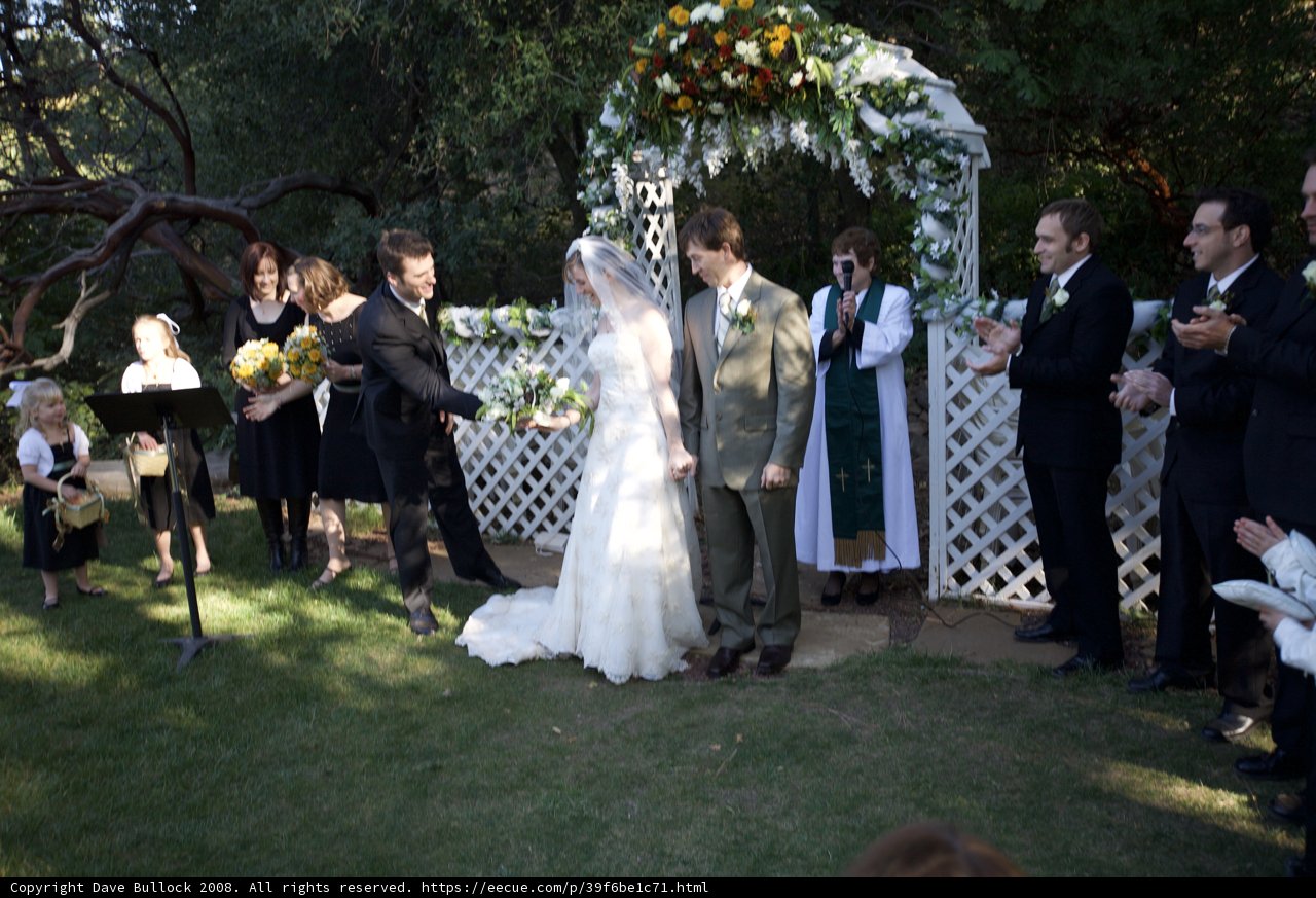 A Beautiful Backyard Wedding