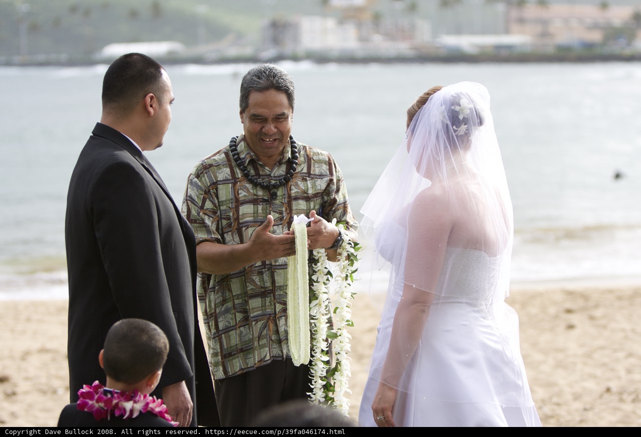 Beach Wedding Bliss