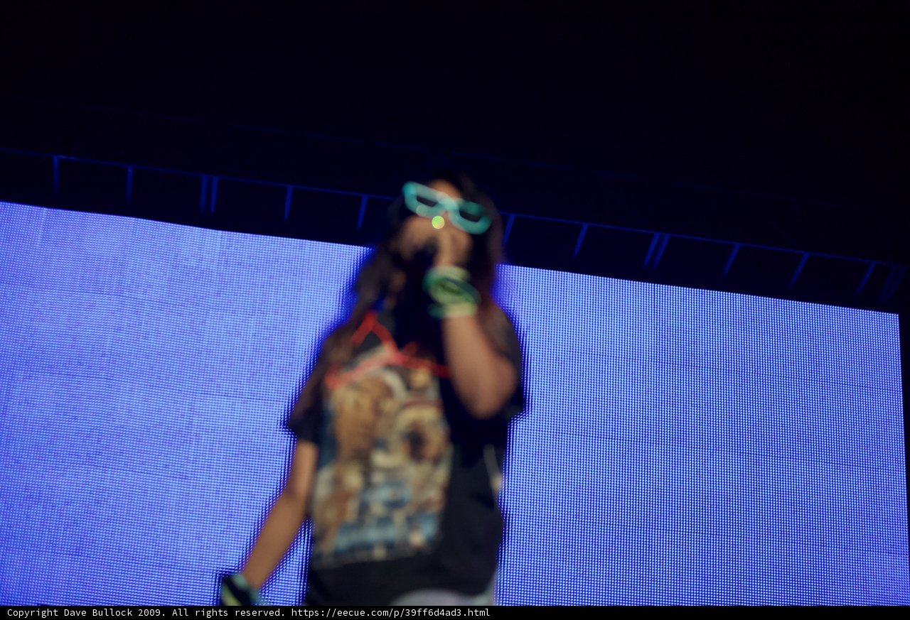 Sunglasses and Sunsets at Coachella