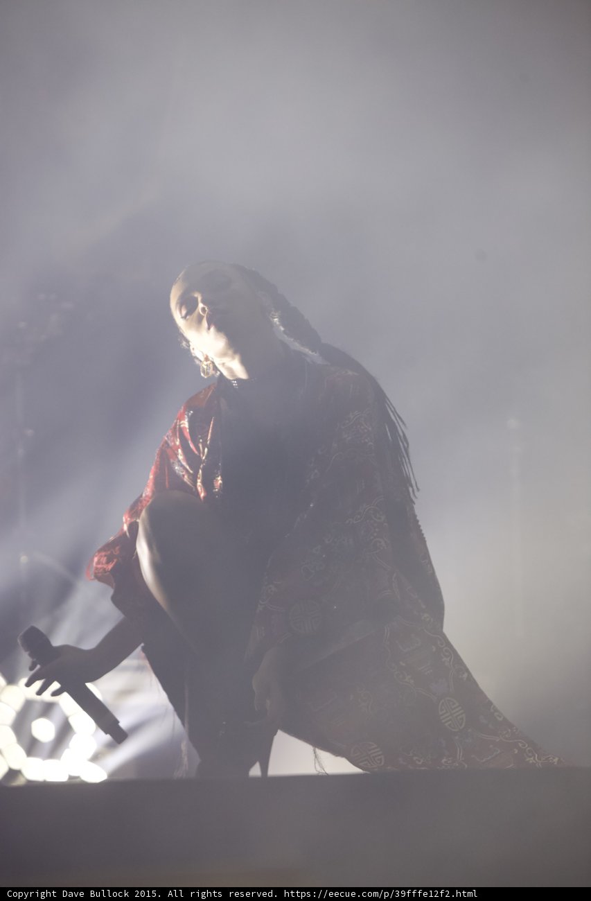 FKA twigs Silhouette Head Thrown Back Heavy Haze Braided Ponytail Red Brocade Kimono LED Light Ethereal