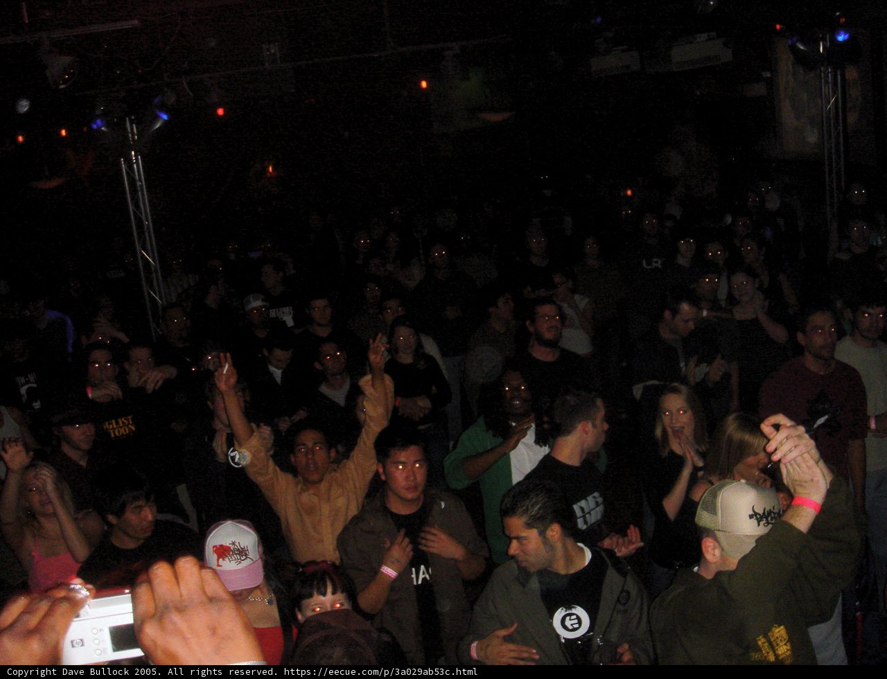 Nightclub Crowd