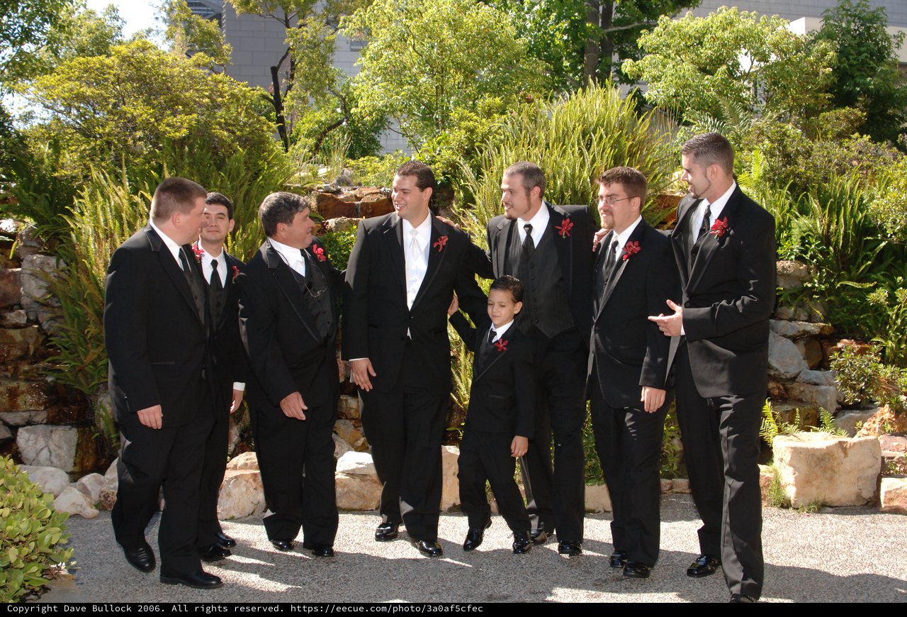 Groomsmen and Ring Bearer in Garden Wedding Portrait