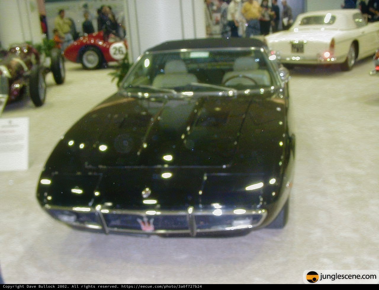 Sleek Sports Car on Display