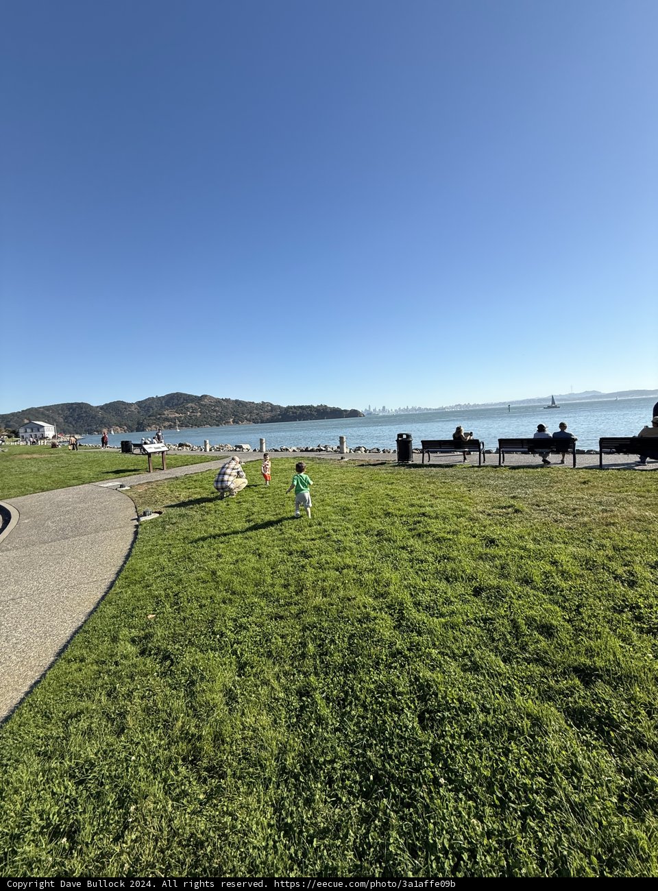 Tranquil Moments at Shoreline Park