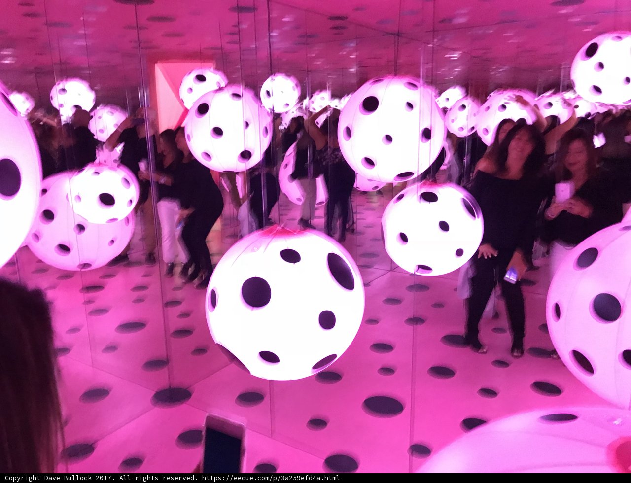 Polka Dot Extravaganza