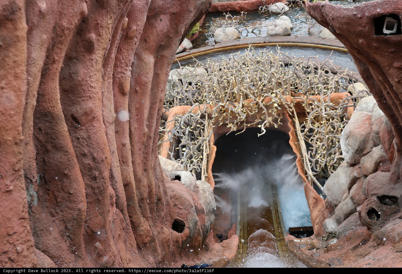 Thrilling Water Slide Escapes Tunnel into Nature's Wilderness