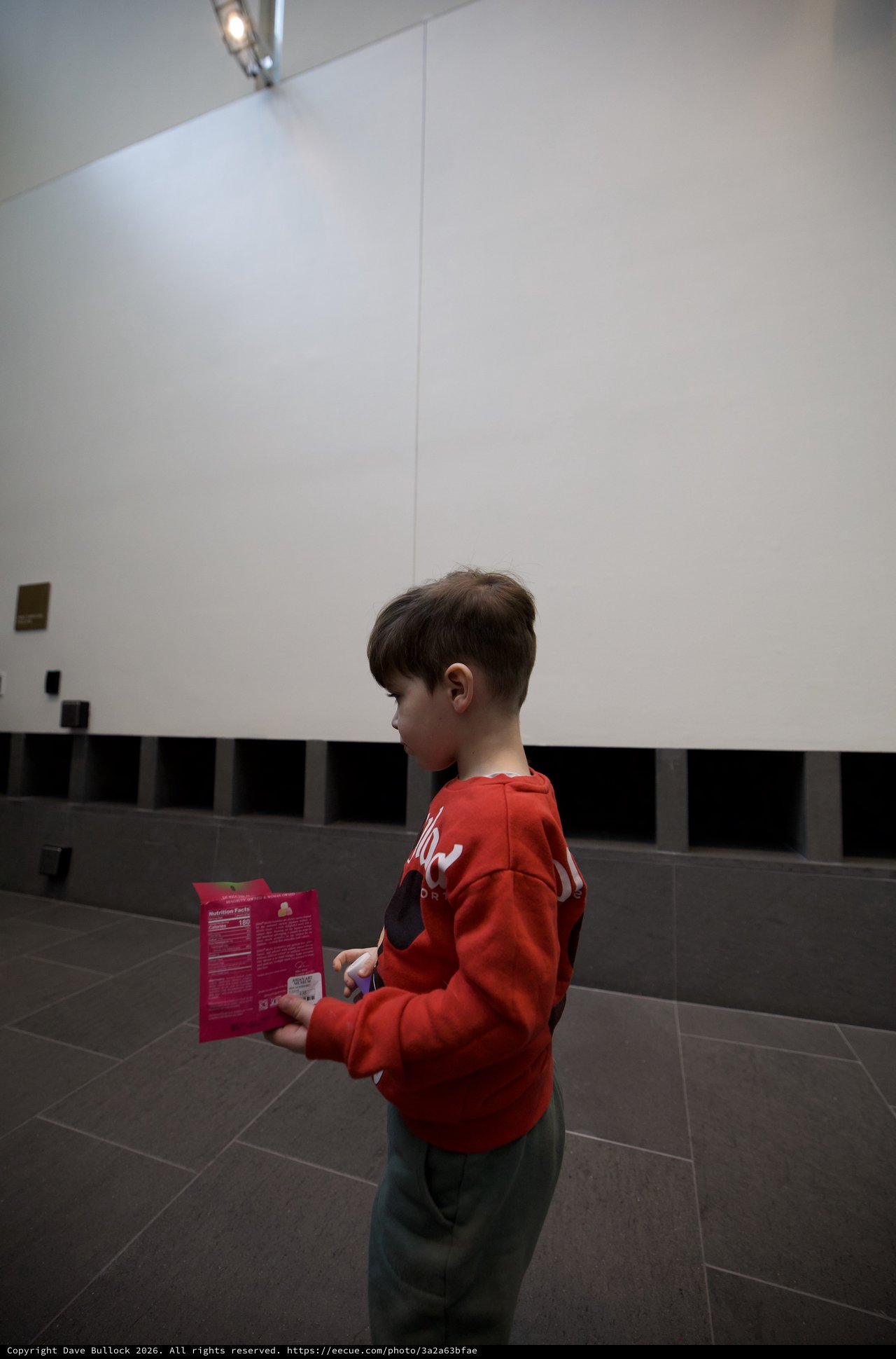 Young Visitor Reading Museum Guide at Asian Art Museum