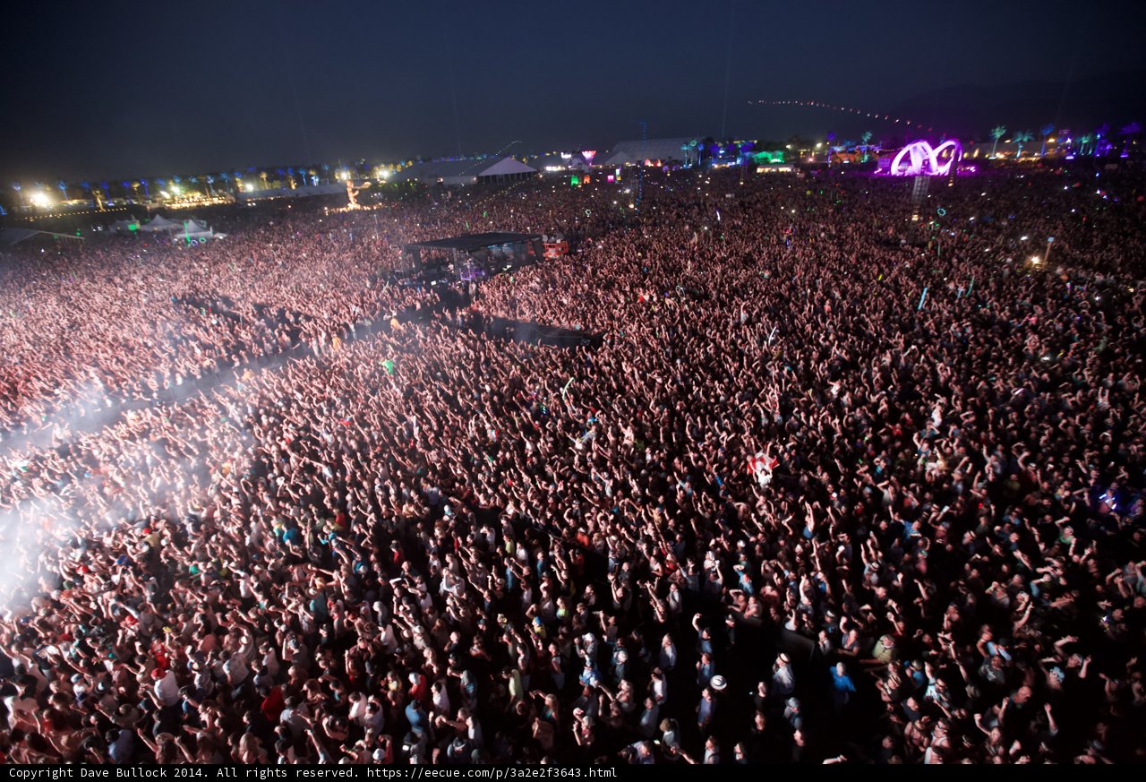 Festival Fever