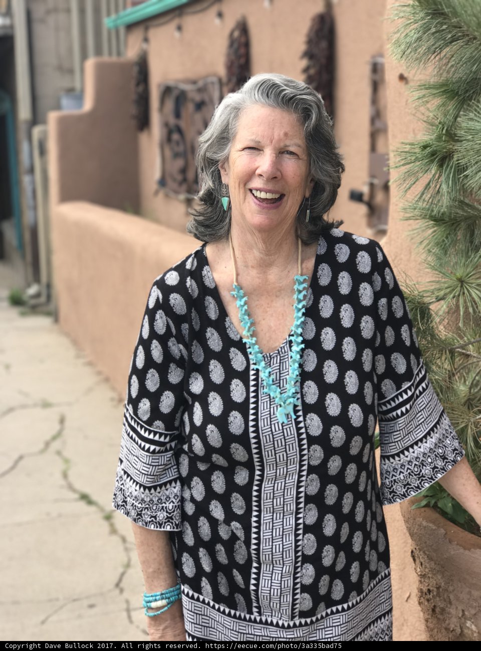 Santa Fe's Artistic Lady