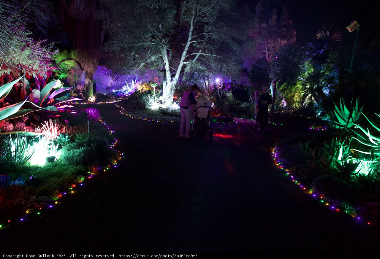 Enchanted Evenings at Ruth Bancroft Garden