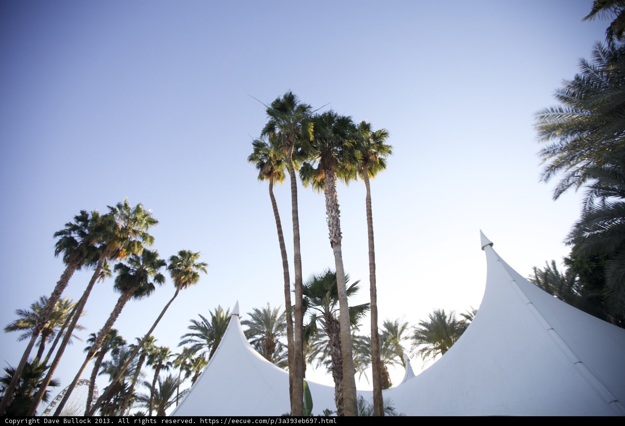 Tropical Oasis at Coachella