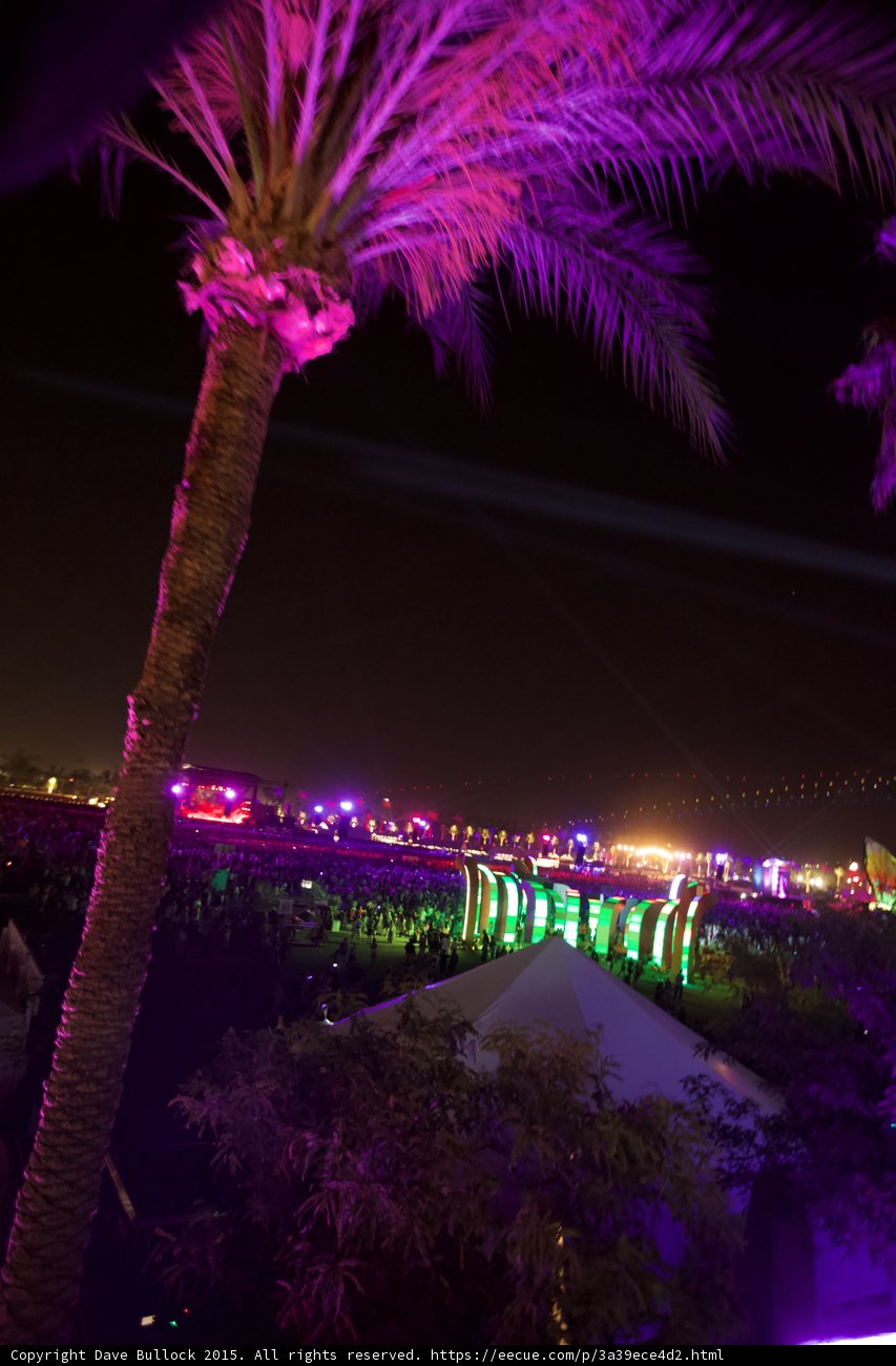 Purple Palm Tree Lights Illuminate Coachella Crowd