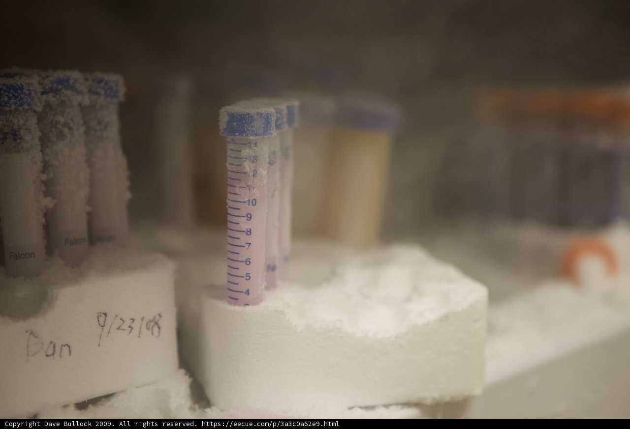 Frozen Experiments