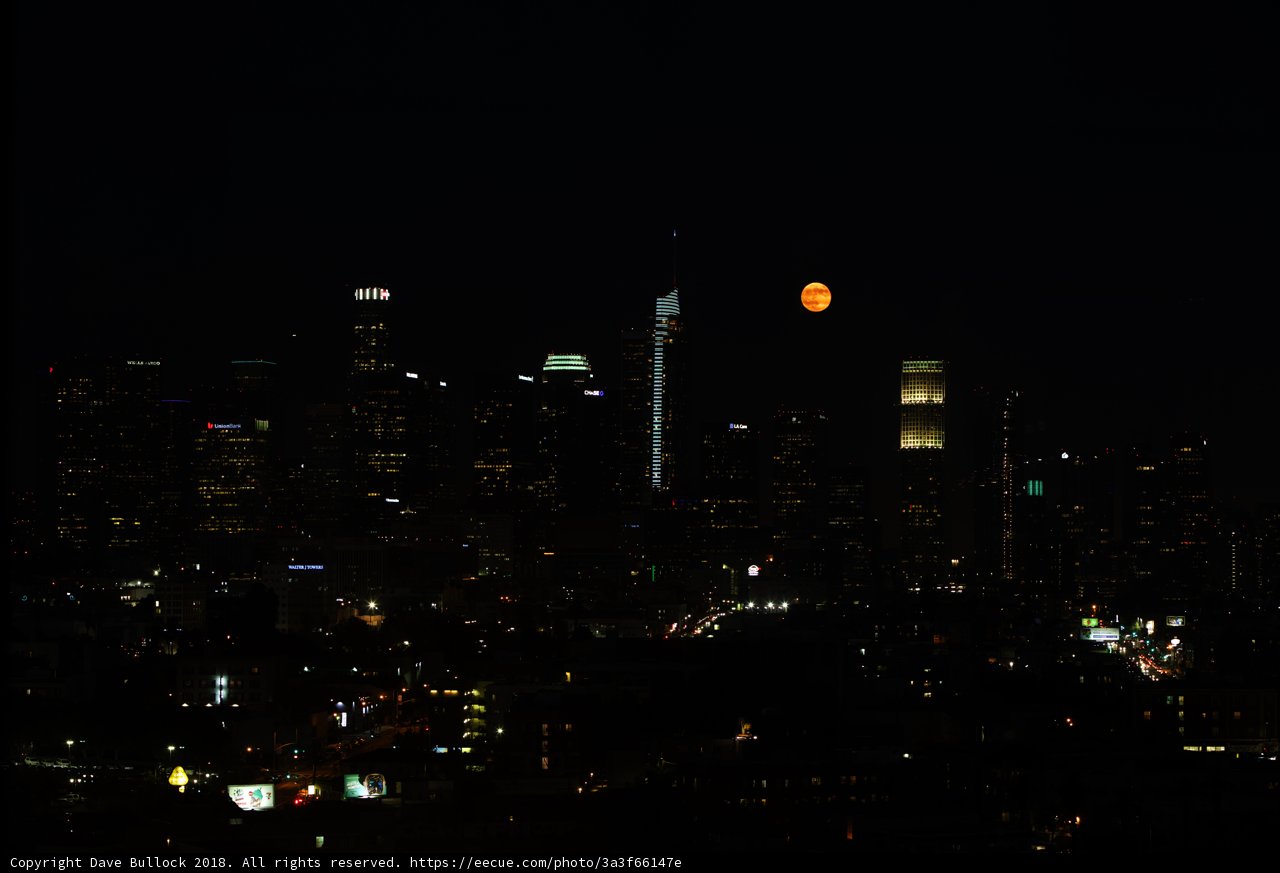 Moonlit Metropolis