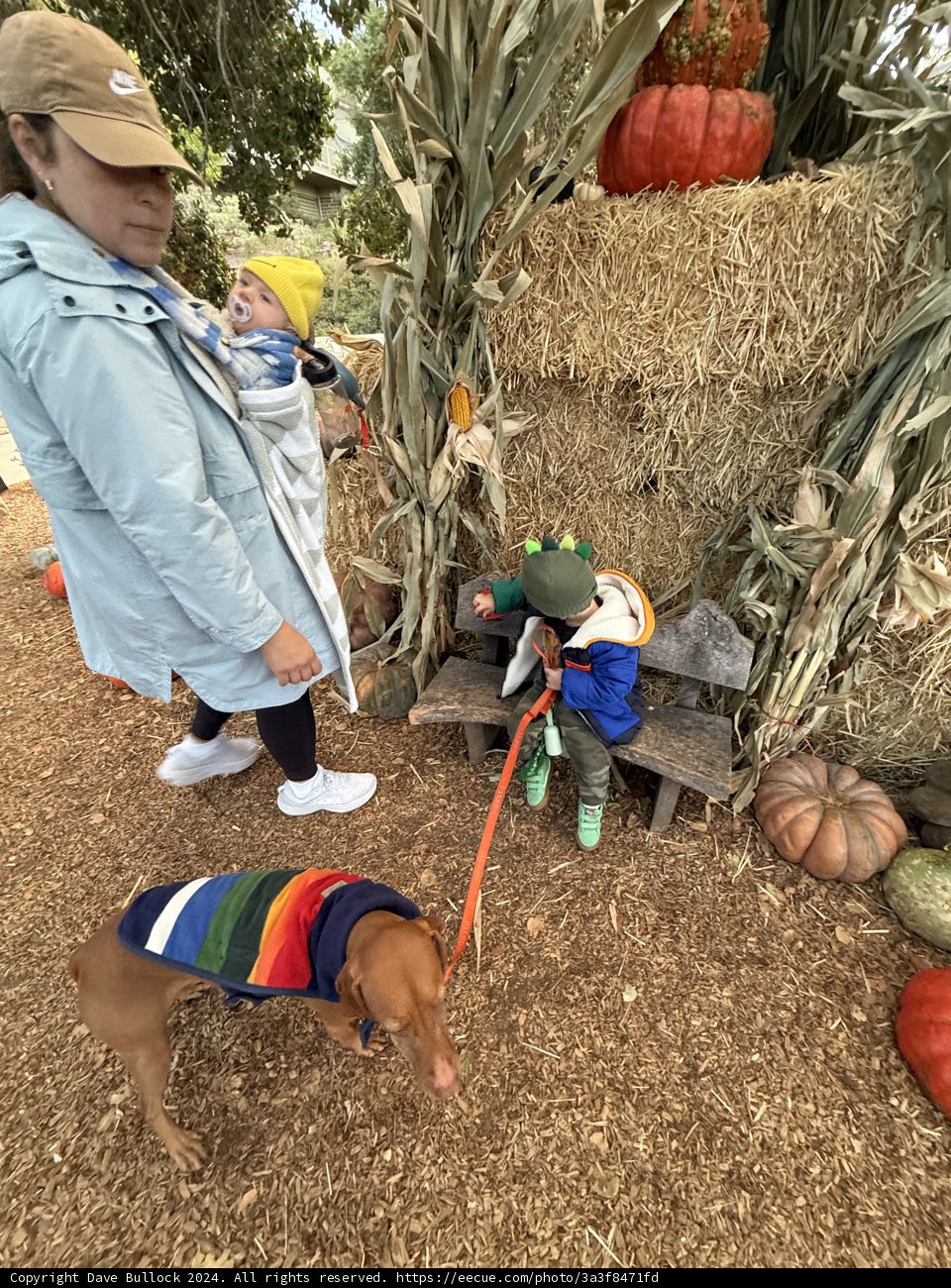 Autumn Adventures in Carmel