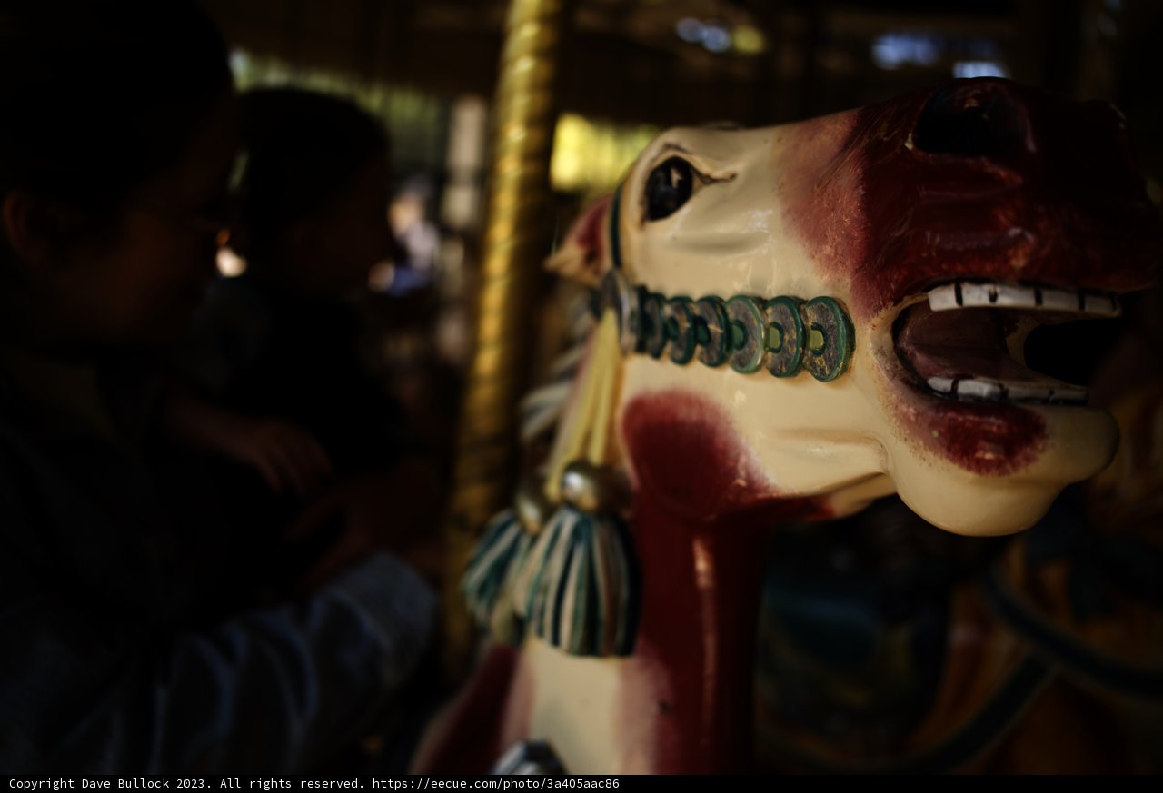 Embracing Joy - The Carousel Ride