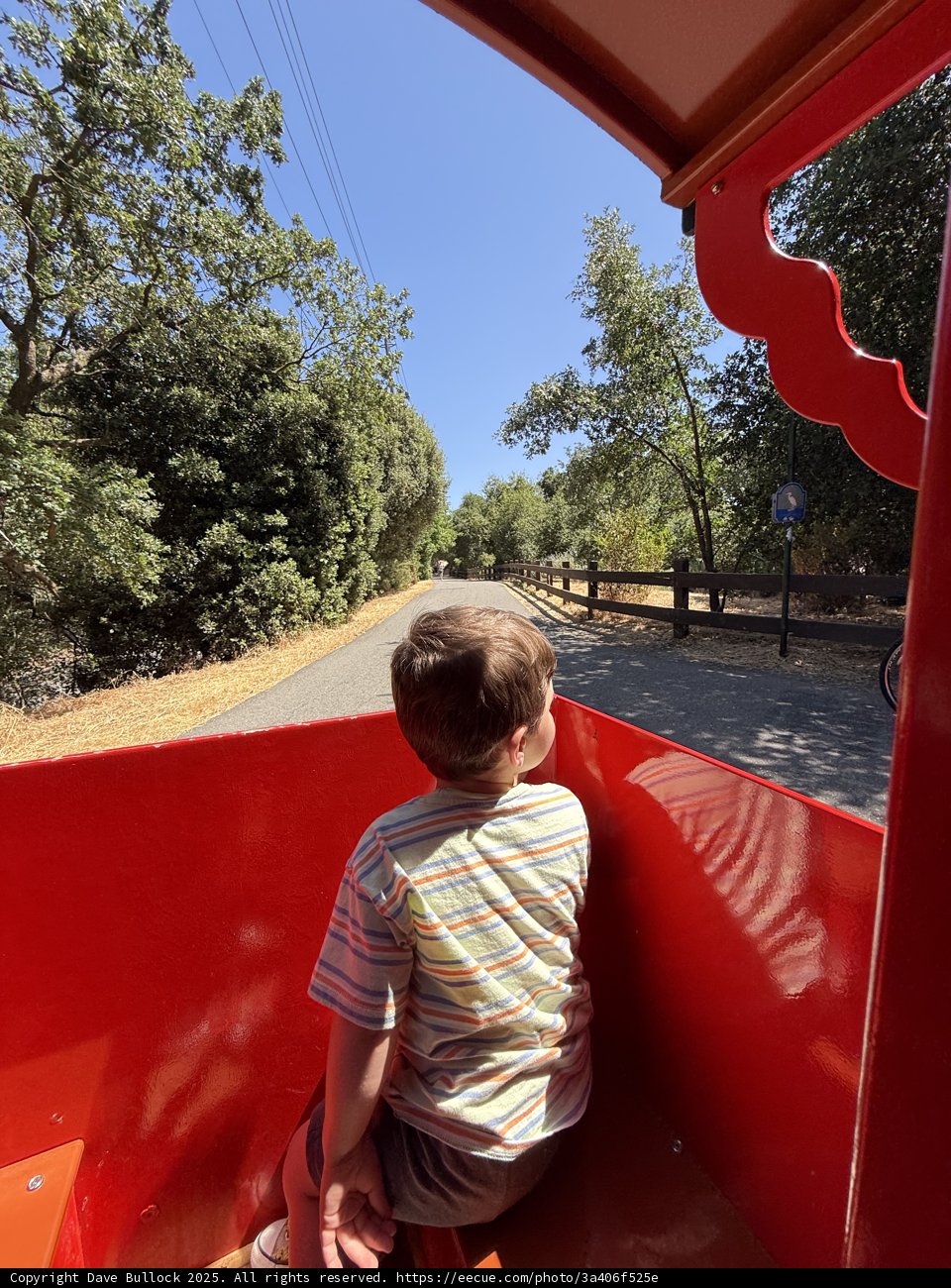 Joyride Under the Summer Sun