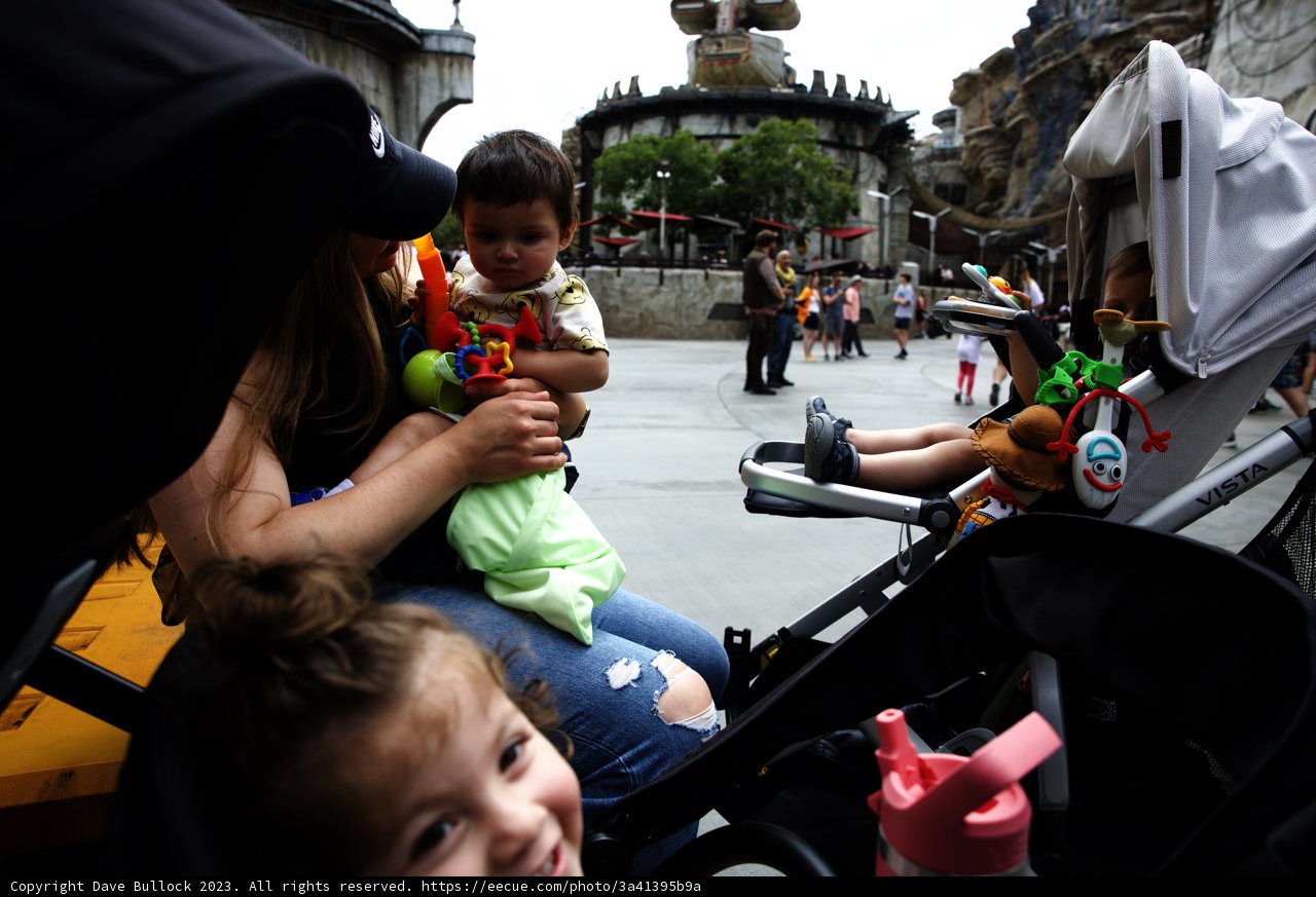 Magical Moments at Disneyland