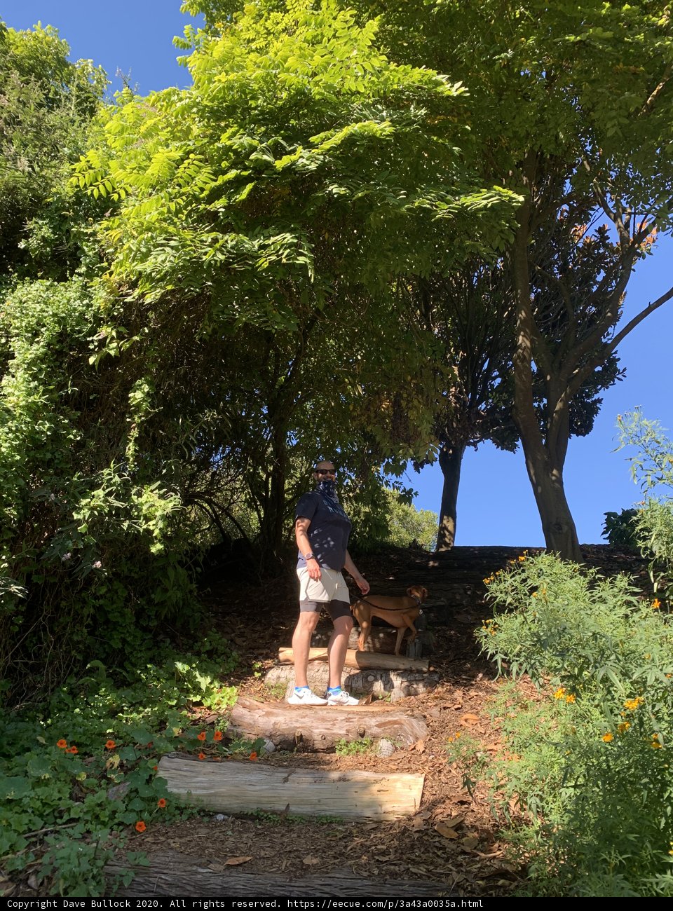 Man and Dog Enjoying a Day in Golden Gate Park