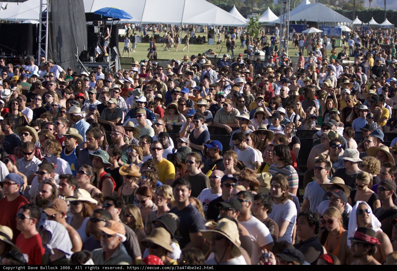 Coachella Concertgoers in Full Swing