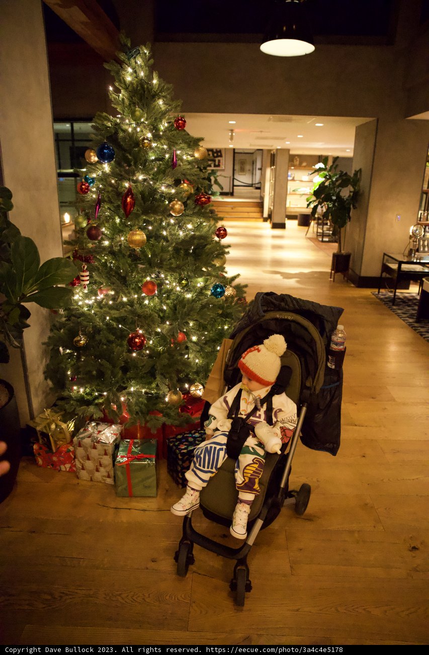 Baby's First Christmas in Japantown Skyela