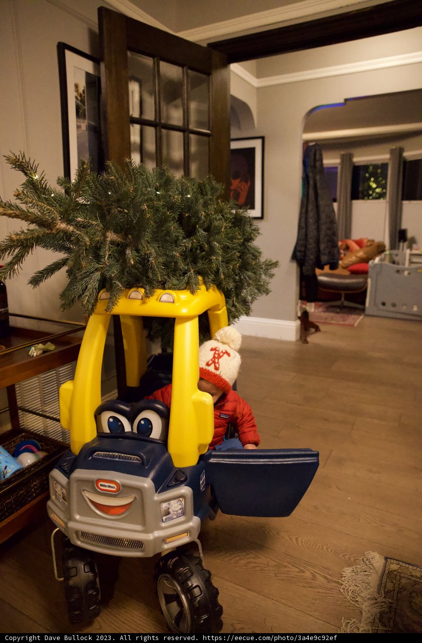 Christmas Joy in Miniature
