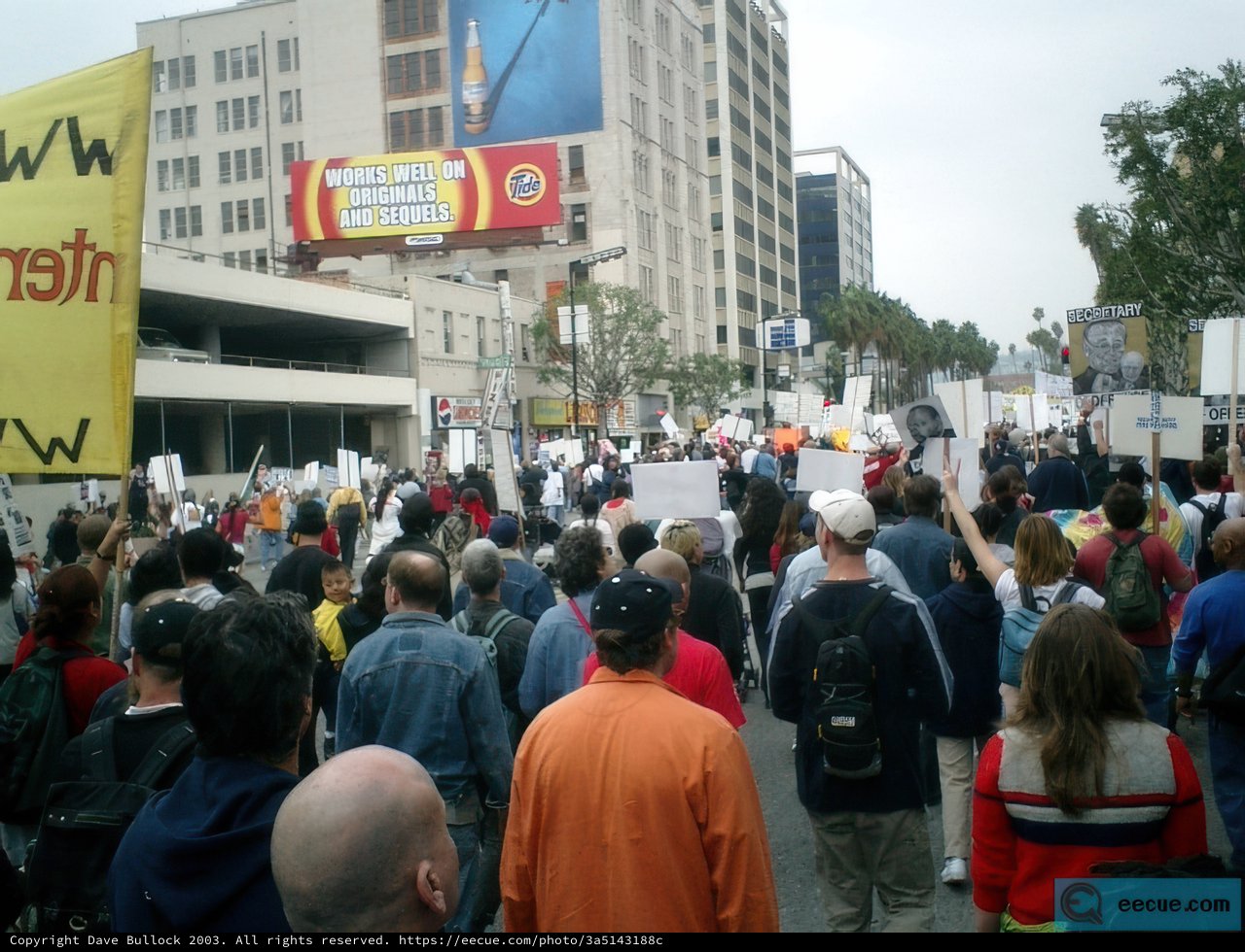 Protesters Take to the Streets