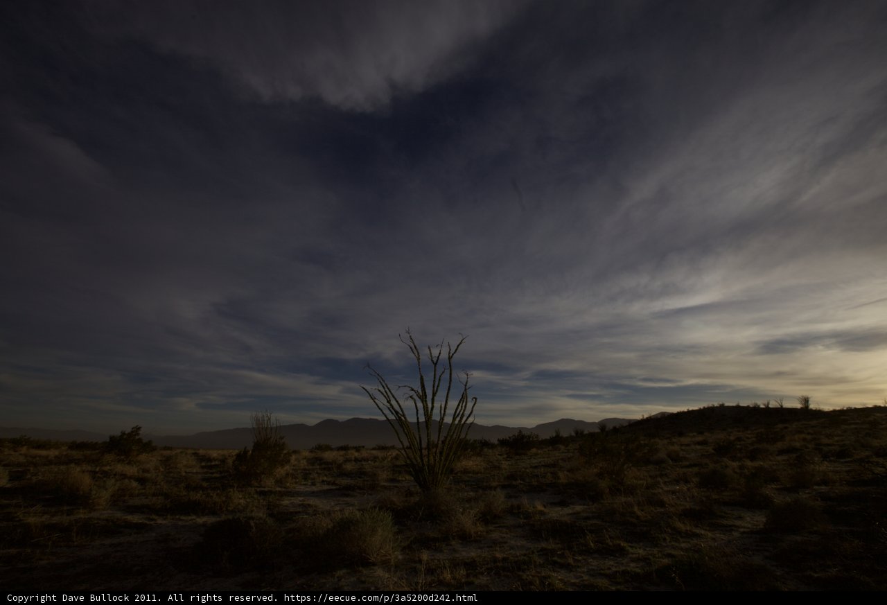 Desert Sunset
