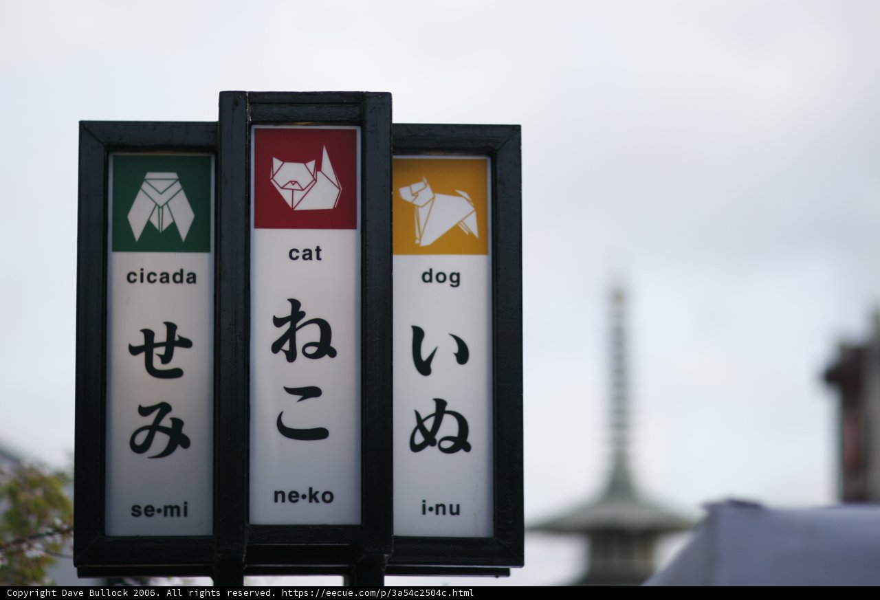 Cat and Dog Symbol Sign