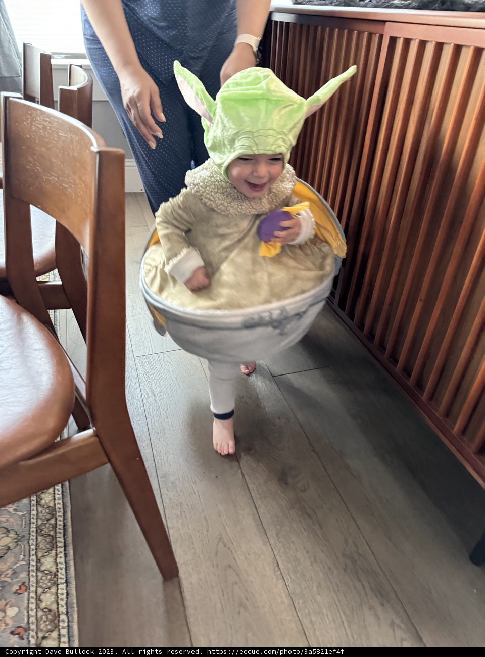 Charming Wesley: Double Green Hat Delight