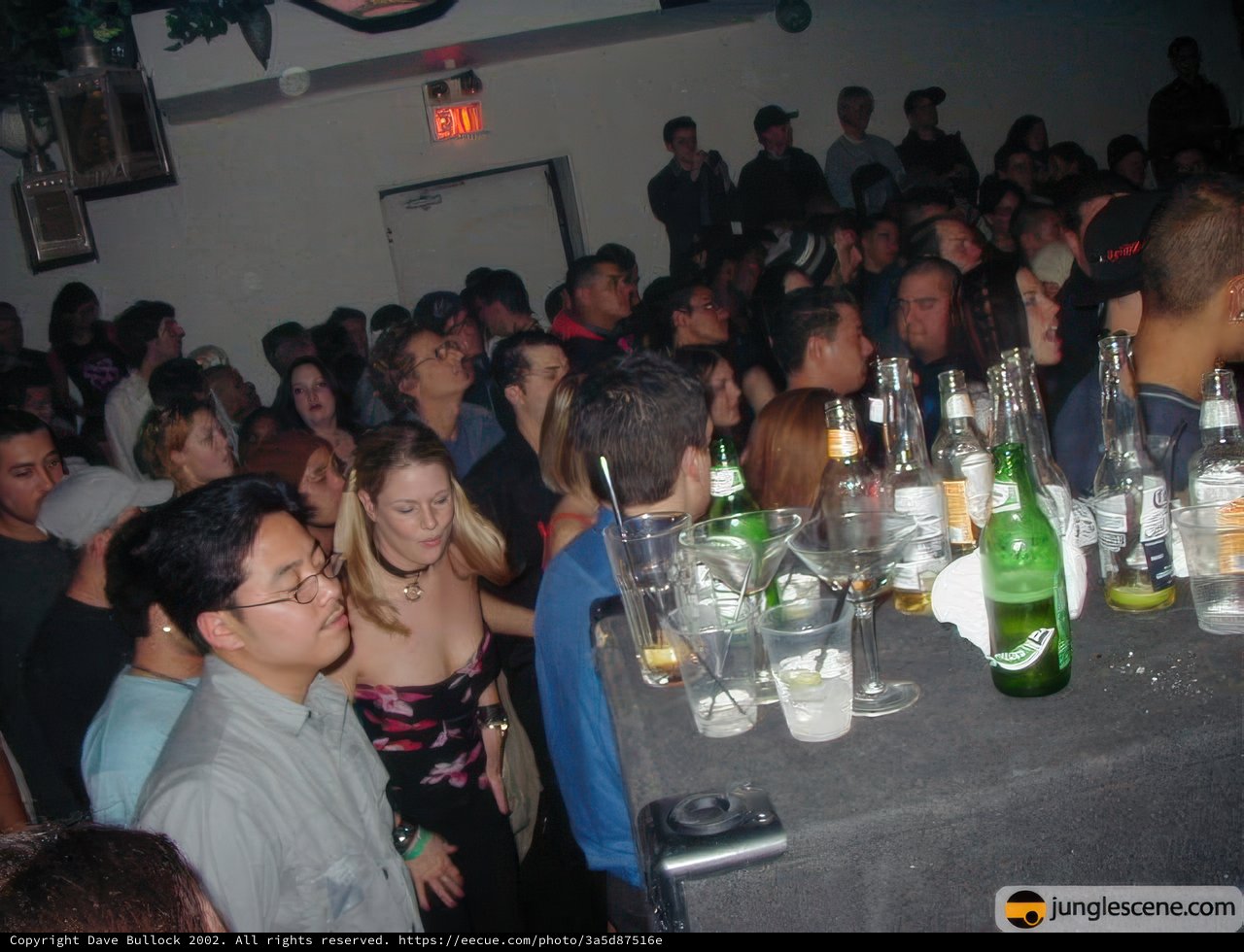 Nightclub Party Madness