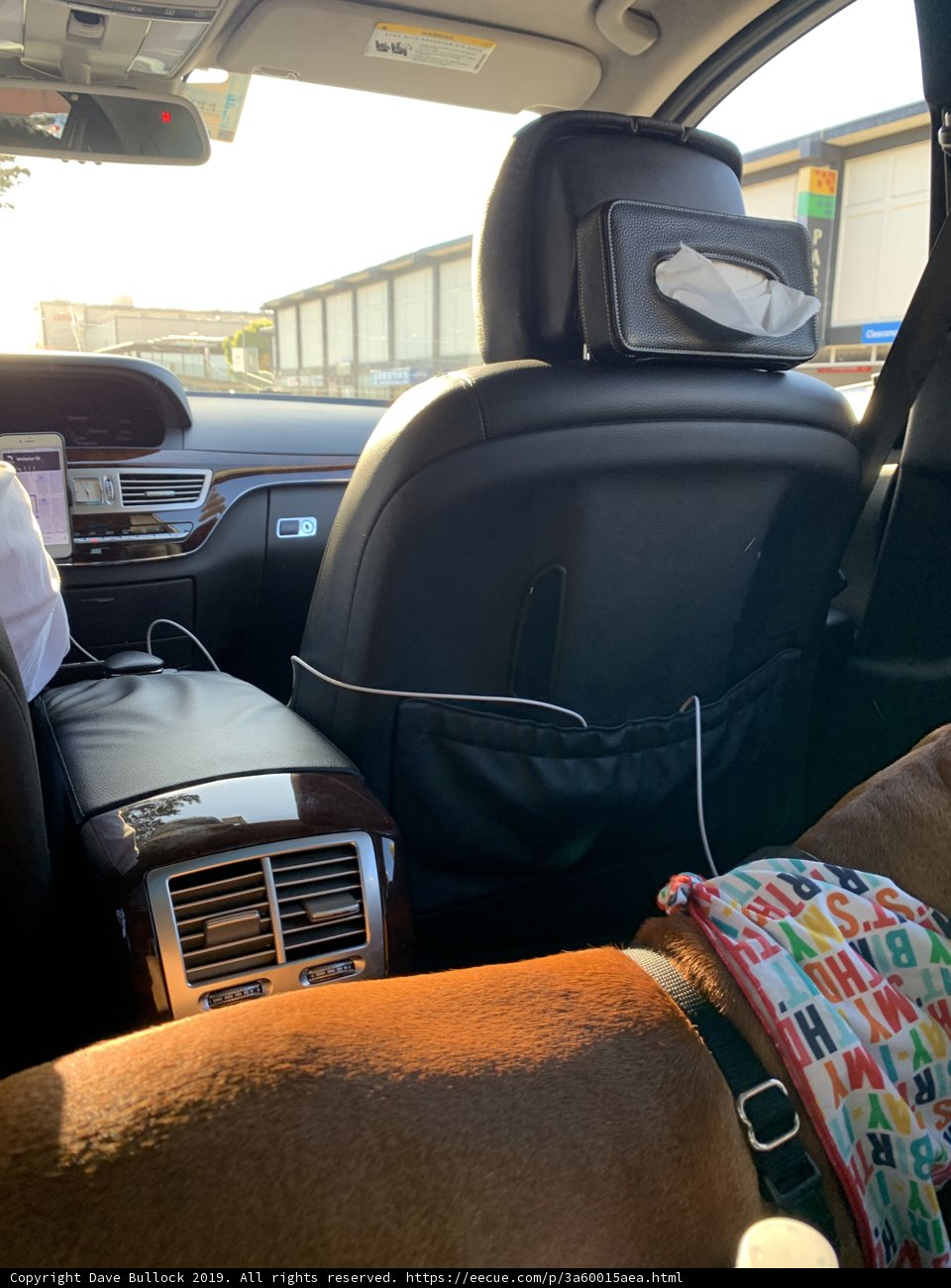 Furry copilot on the move