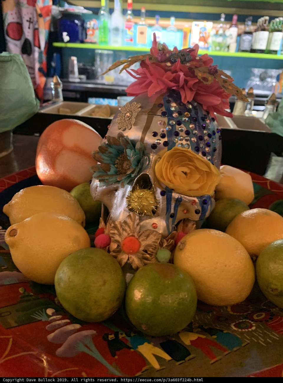 Citrus Skull