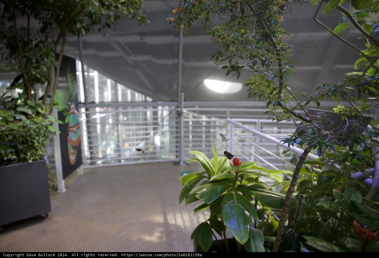 An Eclectic Blend of Architecture and Greenery