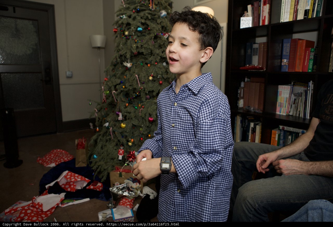 Christmas Cheer