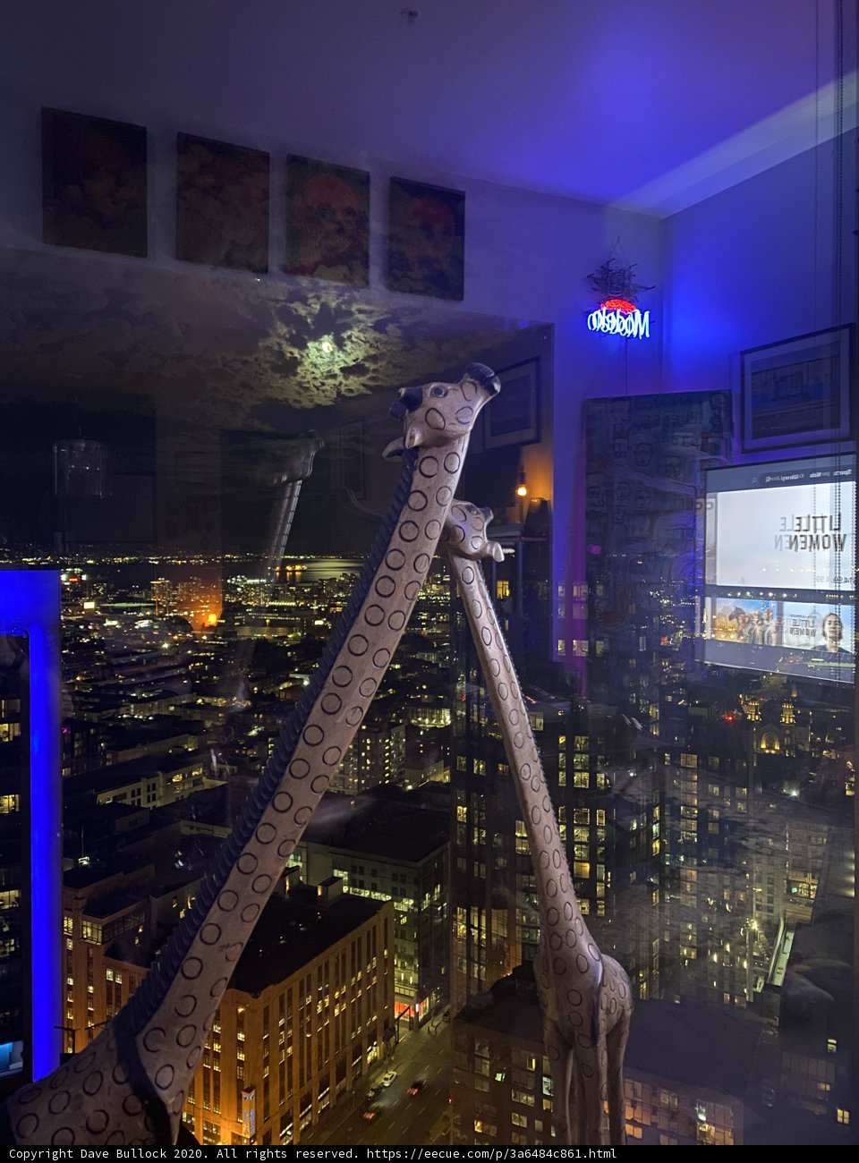 Urban Wildlife in a High Rise Living Room