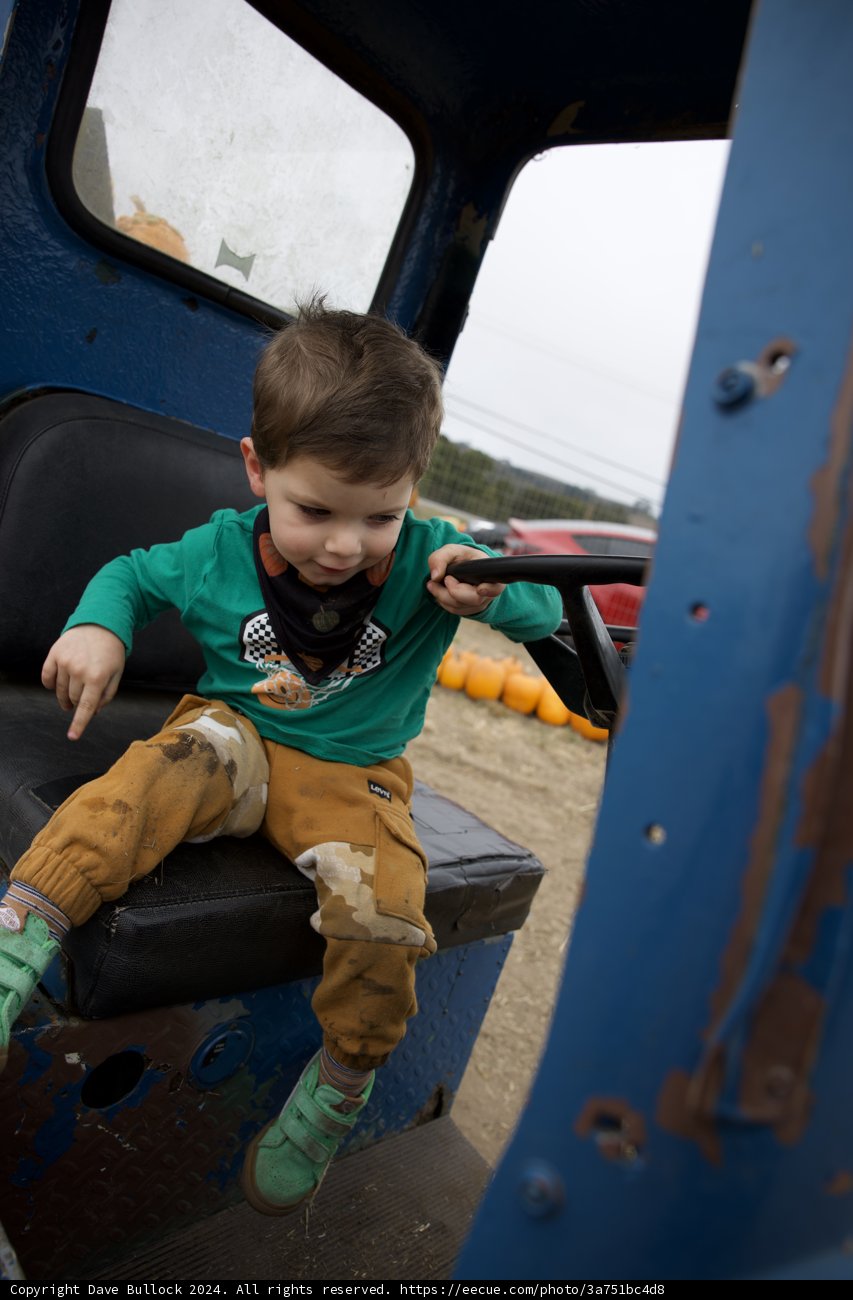 Little Adventurer at Play
