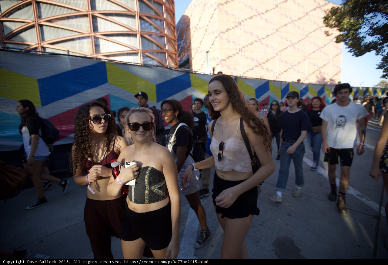 Three Friends Walking FYF Fest