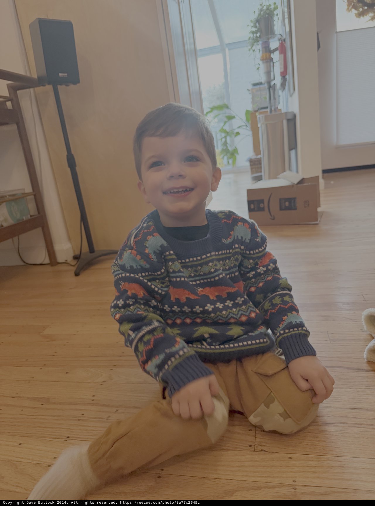 Happy Toddler in Dinosaur Sweater Sitting Indoors