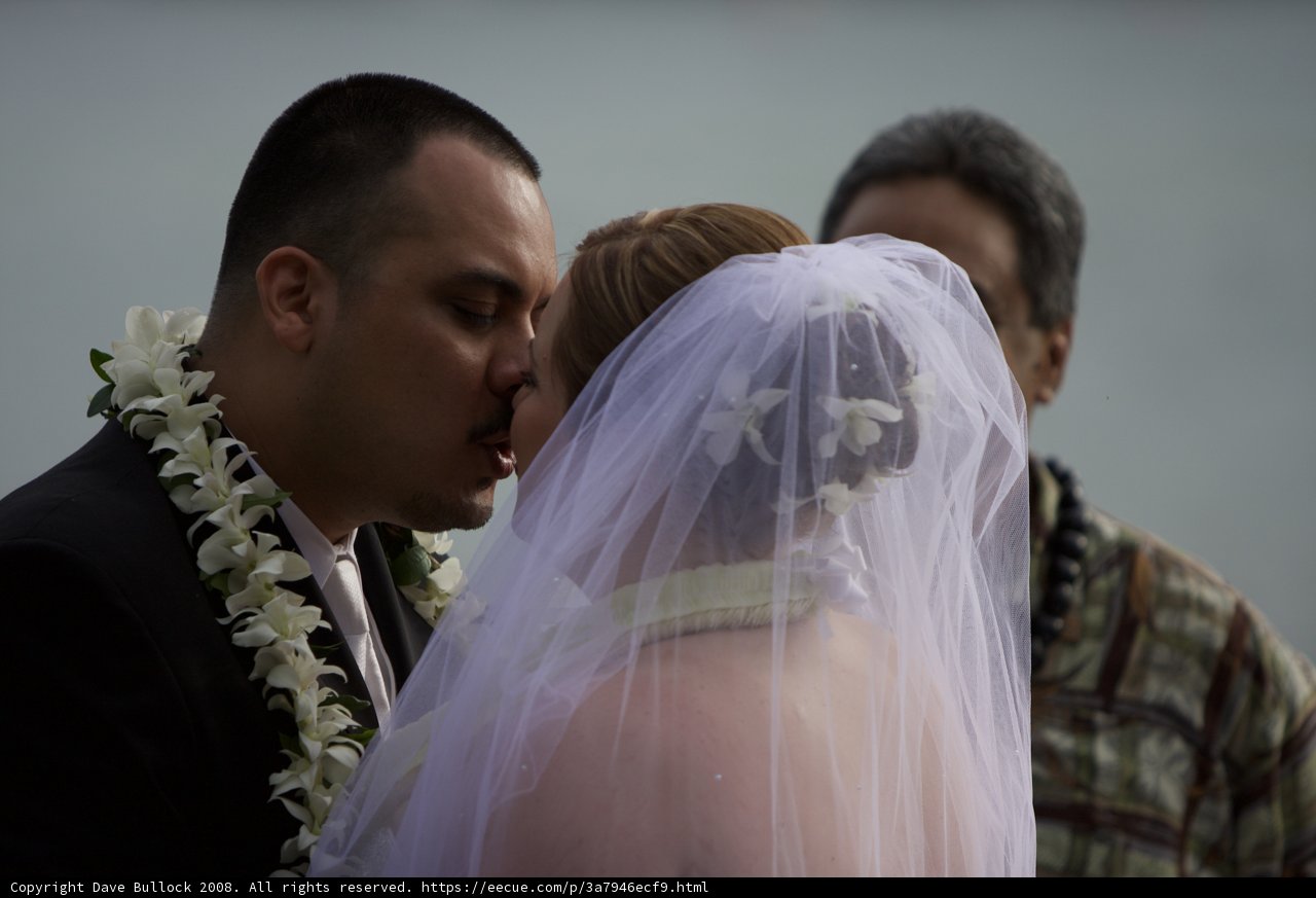 Hawaiian Wedding Bliss
