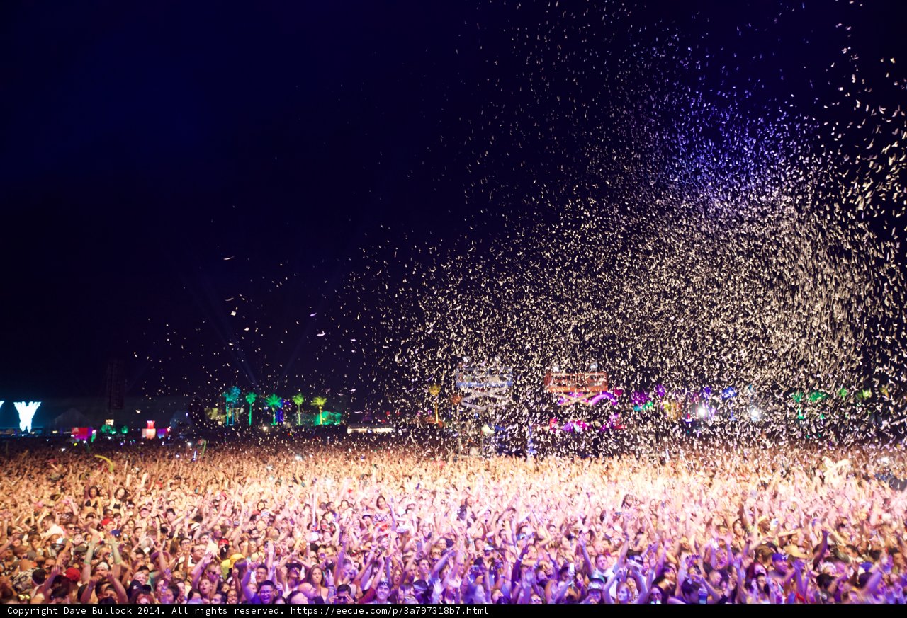 Festival Fever