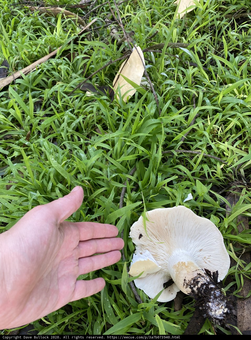 Harvesting a Delicious Find