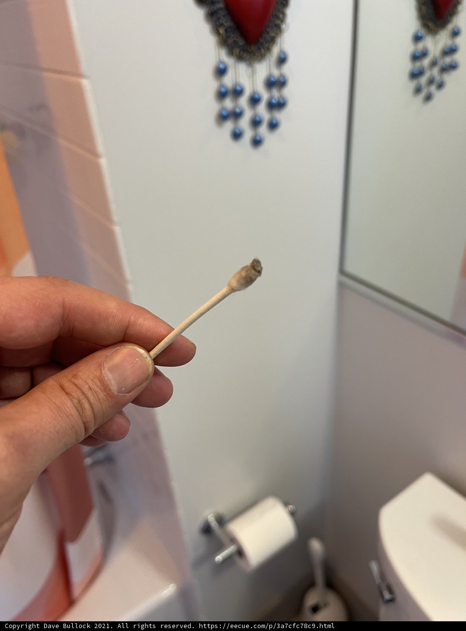 Daily Dental Routine