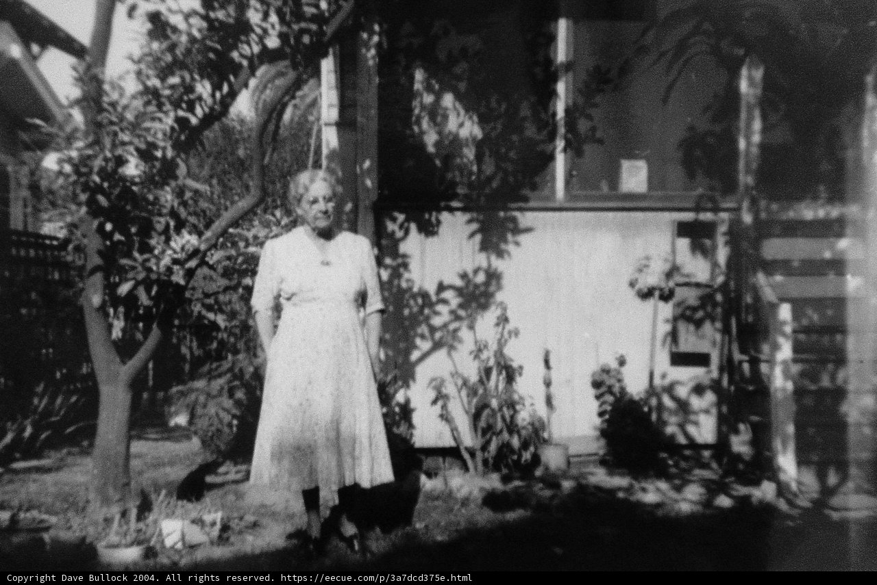 The Elegant Bride in the Backyard