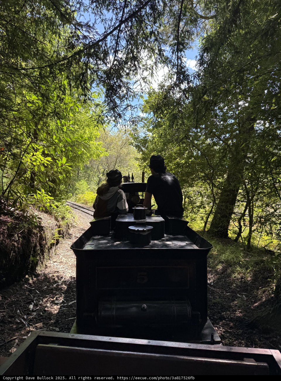 Journey Through the Grove