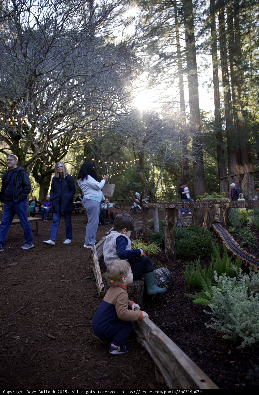 Woodland Adventure at Thistlewyck